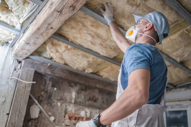 Best Crawl Space Insulation  in Lake Placid, FL